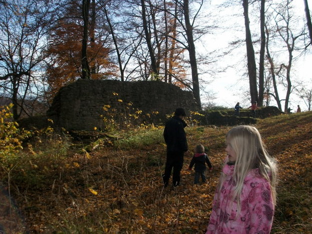 13.Die_Ruine_im_Hintergrund.jpg